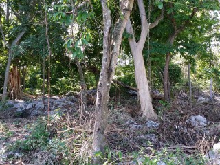 Land For Sale in Jackson Heights, St. Ann Jamaica | [2]