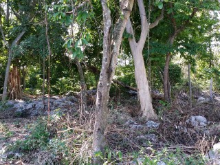 Land For Sale in Jackson Heights, St. Ann Jamaica | [1]