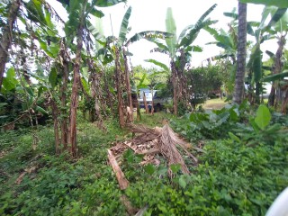 House For Sale in Trout Hall, Clarendon Jamaica | [3]