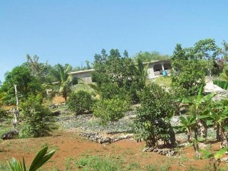 Commercial/farm land For Sale in Bog walk, St. Catherine Jamaica | [3]