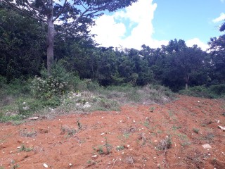 Land For Sale in Christiana, Manchester, Jamaica