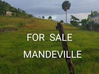 Residential lot For Sale in Knockpatric Mandeville, Manchester, Jamaica