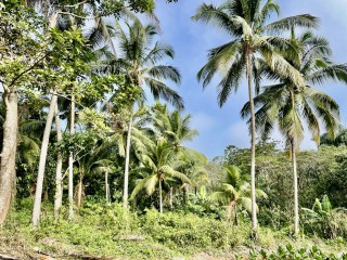 Residential lot For Sale in Spring Vale, St. Catherine Jamaica | [8]