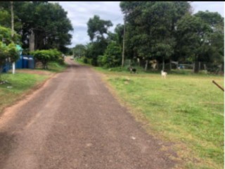 Residential lot For Sale in EDDESFIELD MANGO VALLEY, St. Mary, Jamaica