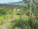 Residential lot For Sale in Mandeville, Manchester Jamaica | [1]