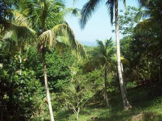 Commercial/farm land For Sale in Bog walk, St. Catherine Jamaica | [2]