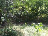 Residential lot For Sale in Negril UNDER OFFER, Westmoreland Jamaica | [8]