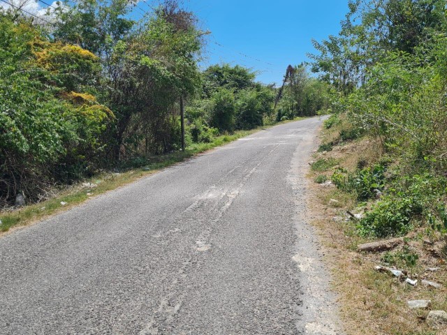 Development Land (Residential) For Sale in Black River, St. Elizabeth Jamaica | [2]