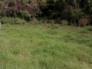 Commercial/farm land For Sale in Retreat Pen Browns Town, St. Ann, Jamaica