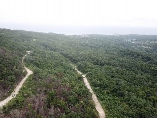 Residential lot For Sale in St Anns Bay, St. Ann Jamaica | [4]