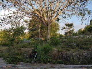 propertyadsja westmoreland jamaica