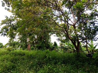 House For Sale in St Anns Bay, St. Ann Jamaica | [4]