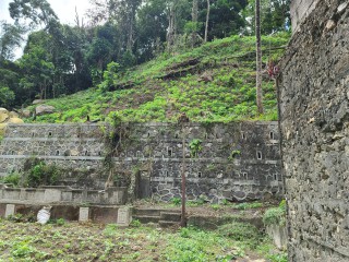 Land For Sale in Cedar Valley  St Thomas, St. Thomas Jamaica | [8]