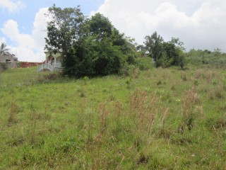 Residential lot For Sale in Knockpatrick New Wales, Manchester, Jamaica