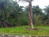 Residential lot For Sale in Ocean Ridge Tower Isle, St. Mary Jamaica | [9]