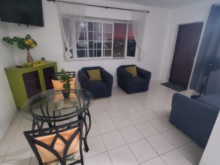 Apartment For Rent in Meadowbrook Area, Kingston / St. Andrew Jamaica | [2]