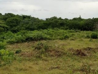 Commercial/farm land For Sale in Trelawny, Trelawny Jamaica | [2]