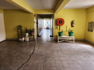 Apartment For Rent in New Kingston, Kingston / St. Andrew Jamaica | [9]