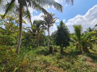 Commercial/farm land For Sale in Bog Walk, St. Catherine, Jamaica