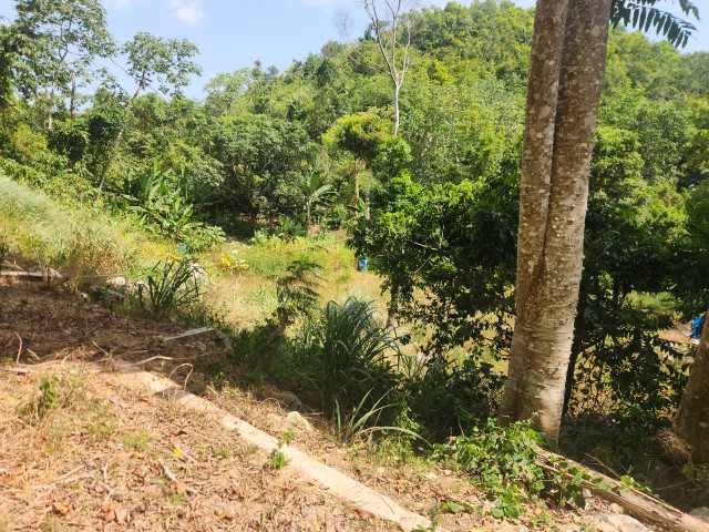 Residential lot For Sale in Swain Spring, Kingston / St. Andrew Jamaica | [4]
