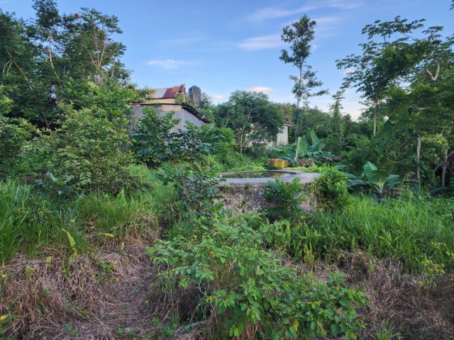 House For Sale in Knockpatrick, Manchester Jamaica | [3]