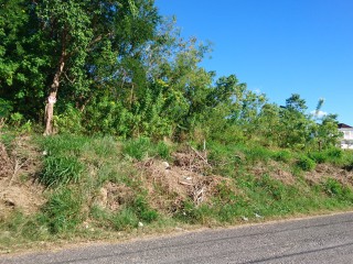 Residential lot For Sale in Bybrook, St. Elizabeth Jamaica | [3]