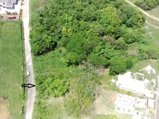 Residential lot For Sale in Santa Cruz, St. Elizabeth Jamaica | [3]