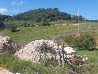 Residential lot For Sale in Newport, Manchester Jamaica | [8]