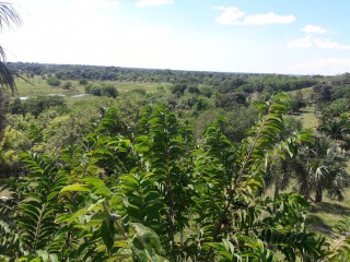 Residential lot For Sale in Lacovia, St. Elizabeth Jamaica | [2]