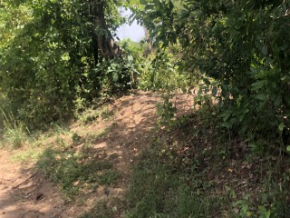 Land For Sale in Negril, Westmoreland, Jamaica