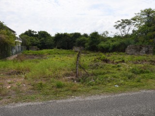 Residential lot For Sale in Black River, St. Elizabeth Jamaica | [3]