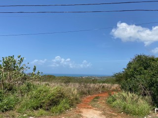 Residential lot For Sale in Treasure Beach, St. Elizabeth, Jamaica