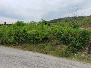 Residential lot For Sale in Boscobel, St. Mary Jamaica | [5]