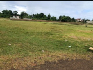 Residential lot For Sale in EDDESFIELD MANGO VALLEY, St. Mary Jamaica | [3]