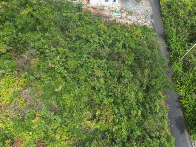 Residential lot For Sale in Creighton Hall, St. Thomas Jamaica | [1]