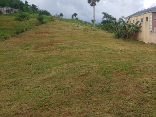 Residential lot For Sale in Knockpatric Mandeville, Manchester, Jamaica