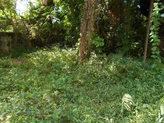 Residential lot For Sale in Kingston 6, Kingston / St. Andrew, Jamaica