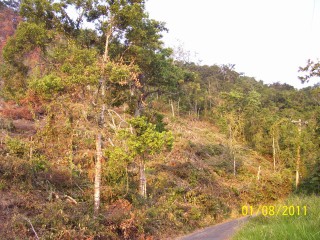 Residential lot For Sale in Off Red Hills  PRICE OFFER, Kingston / St. Andrew Jamaica | [1]