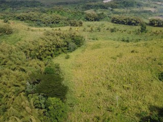Land For Sale – Pear Tree River, St. Thomas, Jamaica