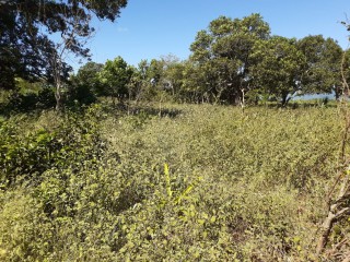 Residential lot For Sale in Nain, St. Elizabeth Jamaica | [9]