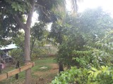 House For Sale in Green Bottom, Clarendon Jamaica | [2]