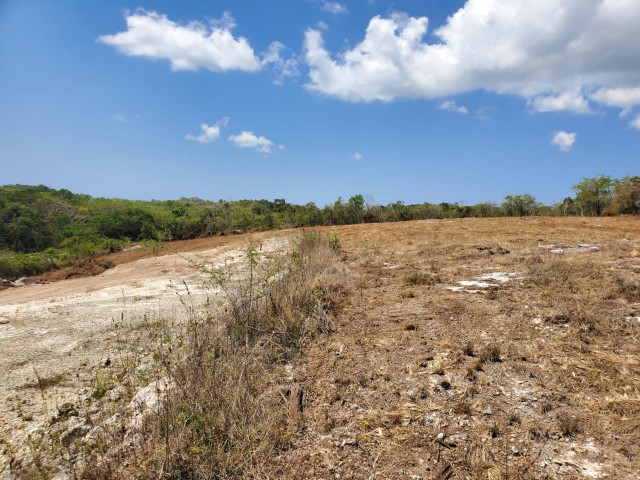 Residential lot For Sale in Luana, St. Elizabeth Jamaica | [3]