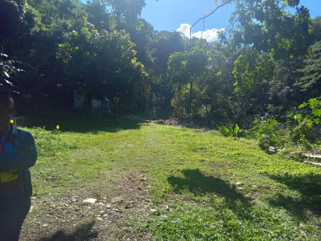 Commercial/farm land For Sale in Rock River, Clarendon Jamaica | [12]