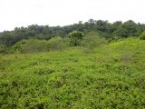 Commercial/farm land For Sale in Grange Hill, Portland Jamaica | [3]