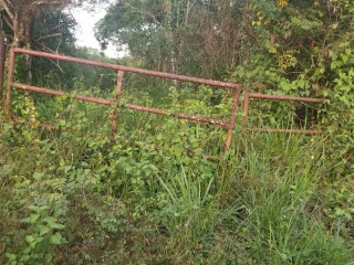 Land For Sale – Oxford District, St. Elizabeth, Jamaica