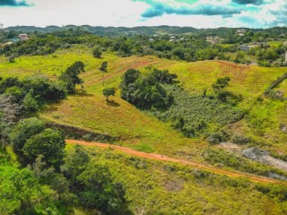 Residential lot For Sale in Daleys Grove, Manchester, Jamaica