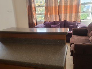 Apartment For Rent in Oxford Road, Kingston / St. Andrew Jamaica | [4]