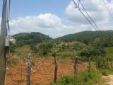  For Sale in Huntley, Manchester Jamaica | [1]
