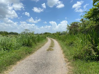 Residential lot For Sale in Bushy Park, St. Catherine, Jamaica
