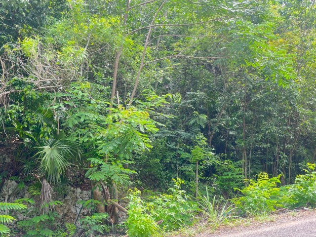 Development Land (Residential) For Sale in Woodside, Clarendon Jamaica | [2]